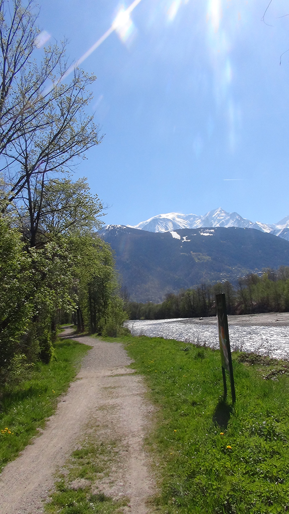 Bords de l'Arve, Passy