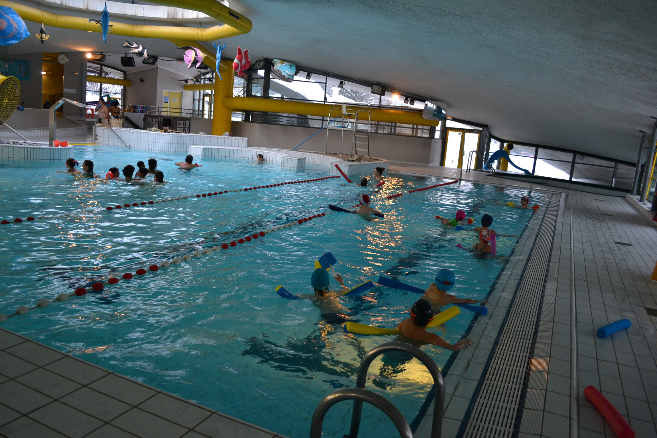 photo leçon de natation